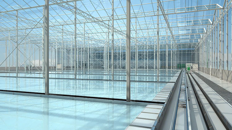 阵列®DFT水培系统——日光玻璃温室