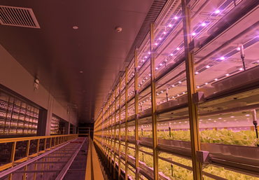 自动植物工厂丨广东市—花城农园自动植物工厂项目