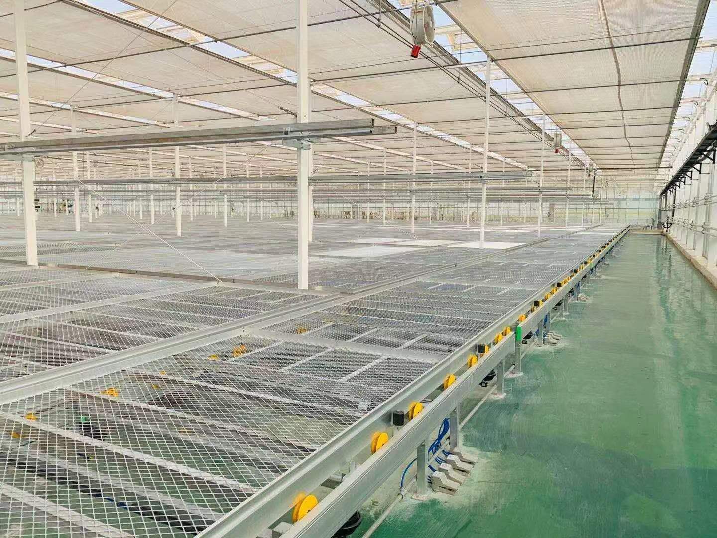 自动物流苗床系统实景