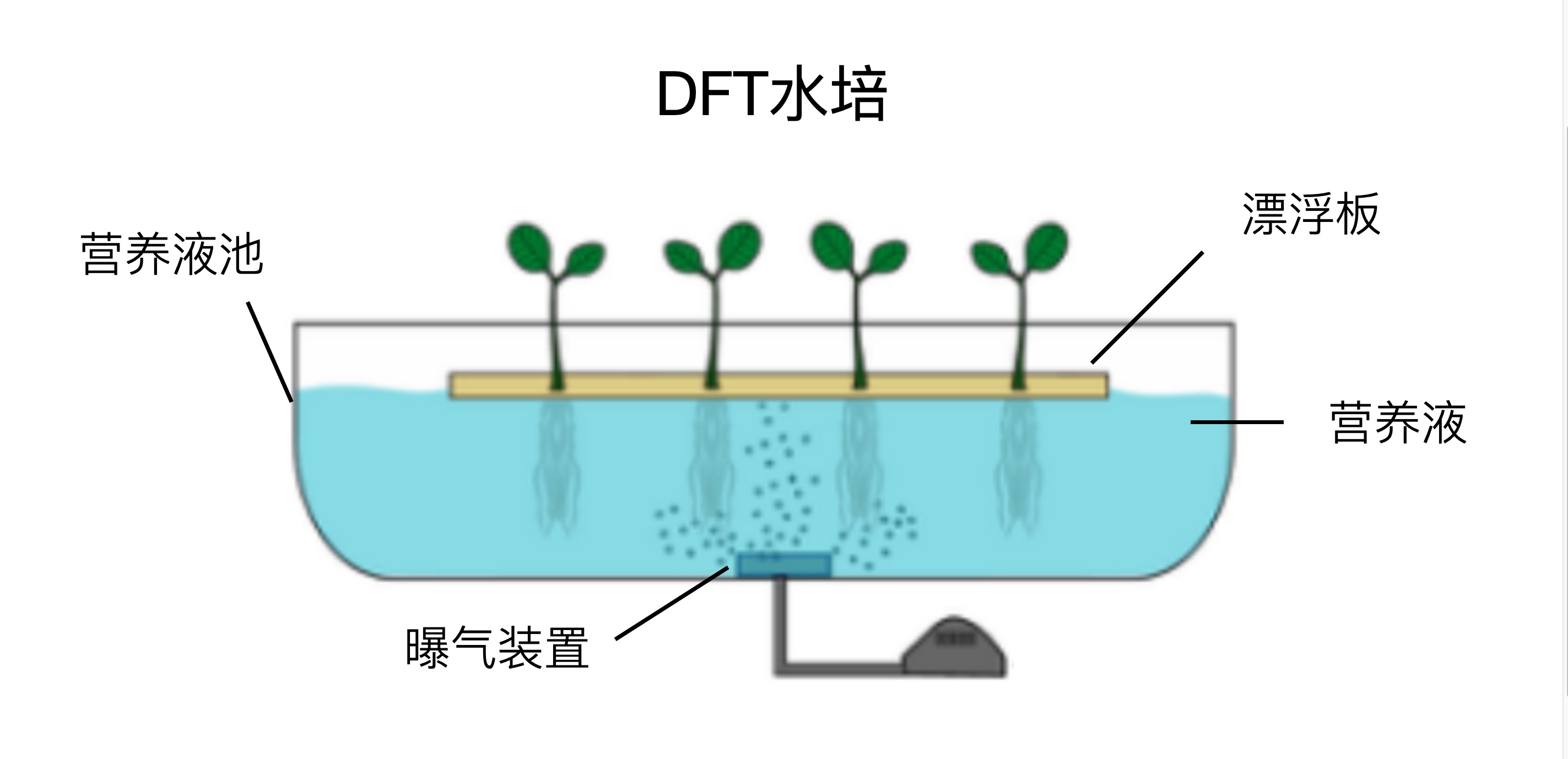 DFT水培逻辑示意图