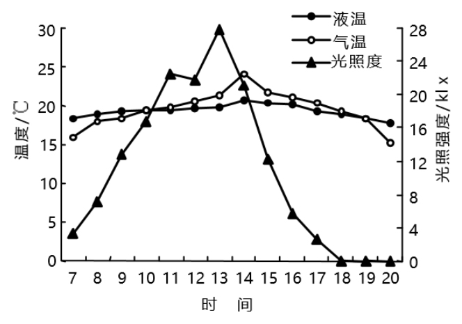 DFT水培营养液温度日变化