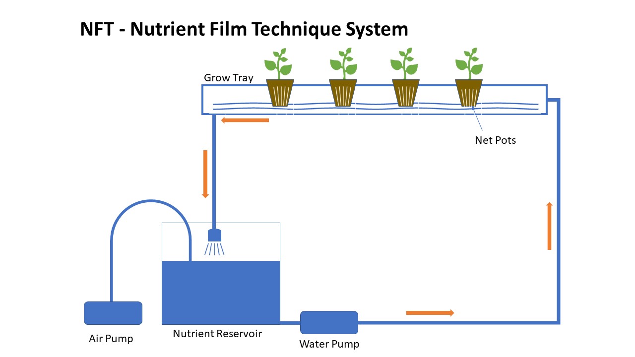 NFT水培营养液循环方式