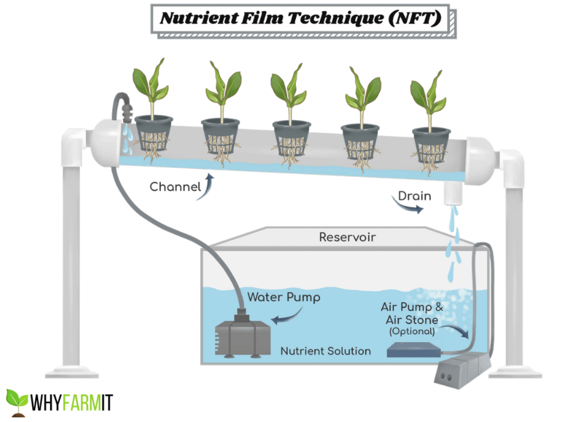 叶菜侠科技，NFT，水培示意图