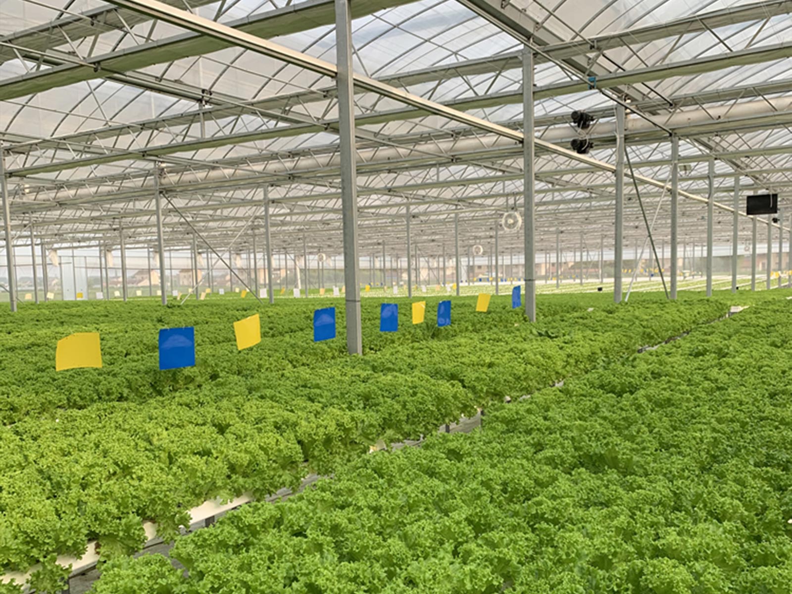 江苏南通—某知名食品工业企业