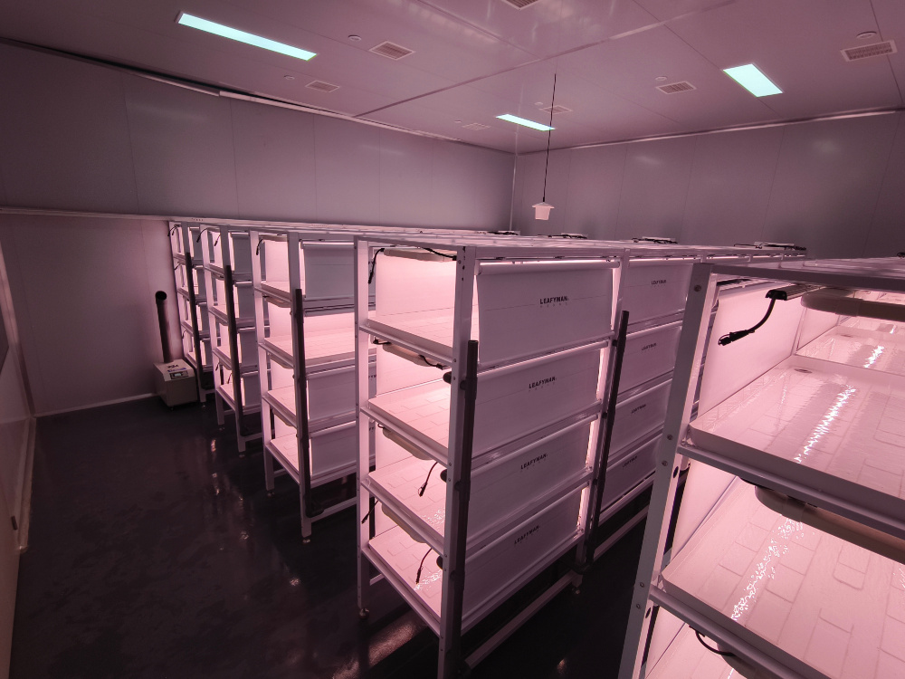 青山绿水全自动水培生菜温室工厂