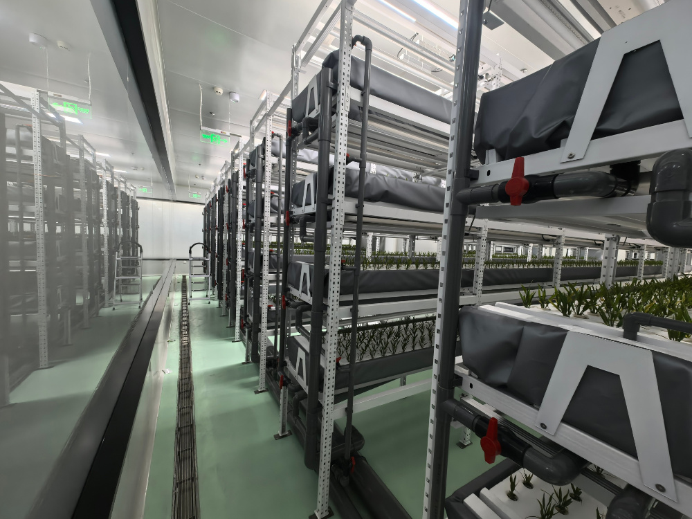 水稻立体植物工厂