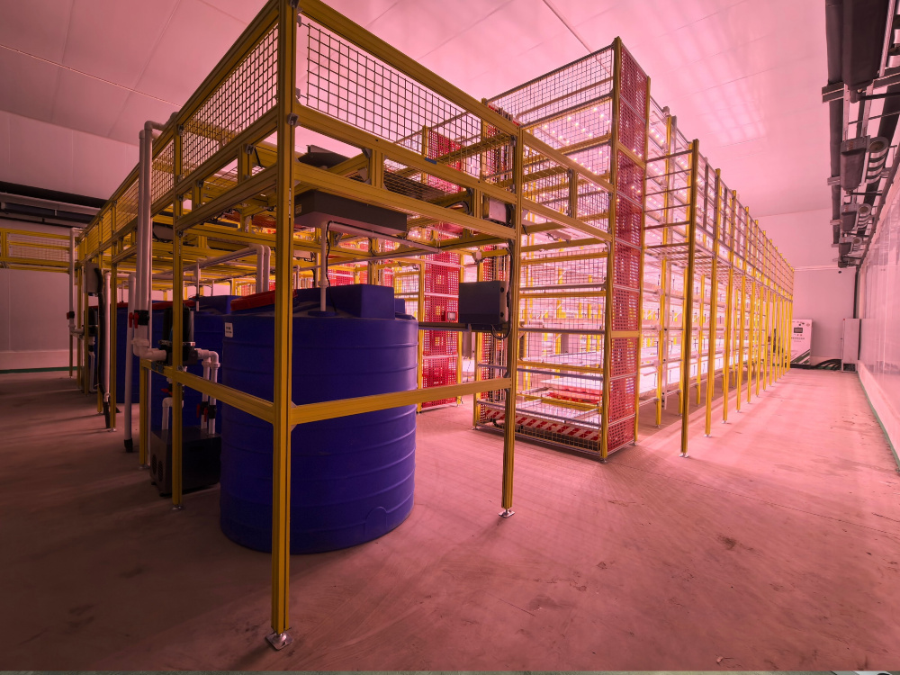 免洗沙拉全自动植物工厂