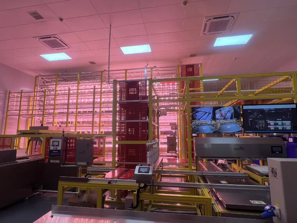 农业实训中心全自动植物工厂